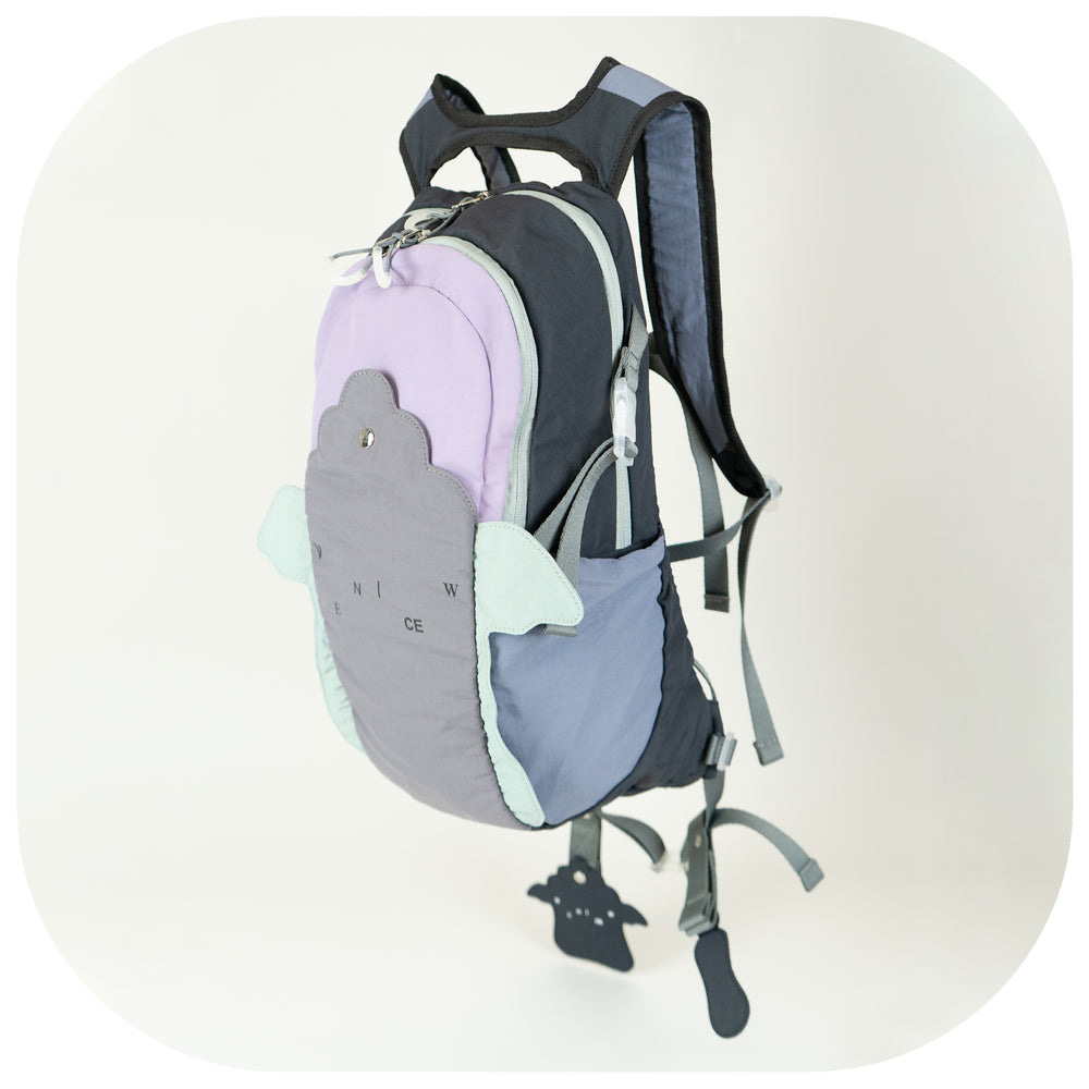 *Pre-order* Hangtag Backpack