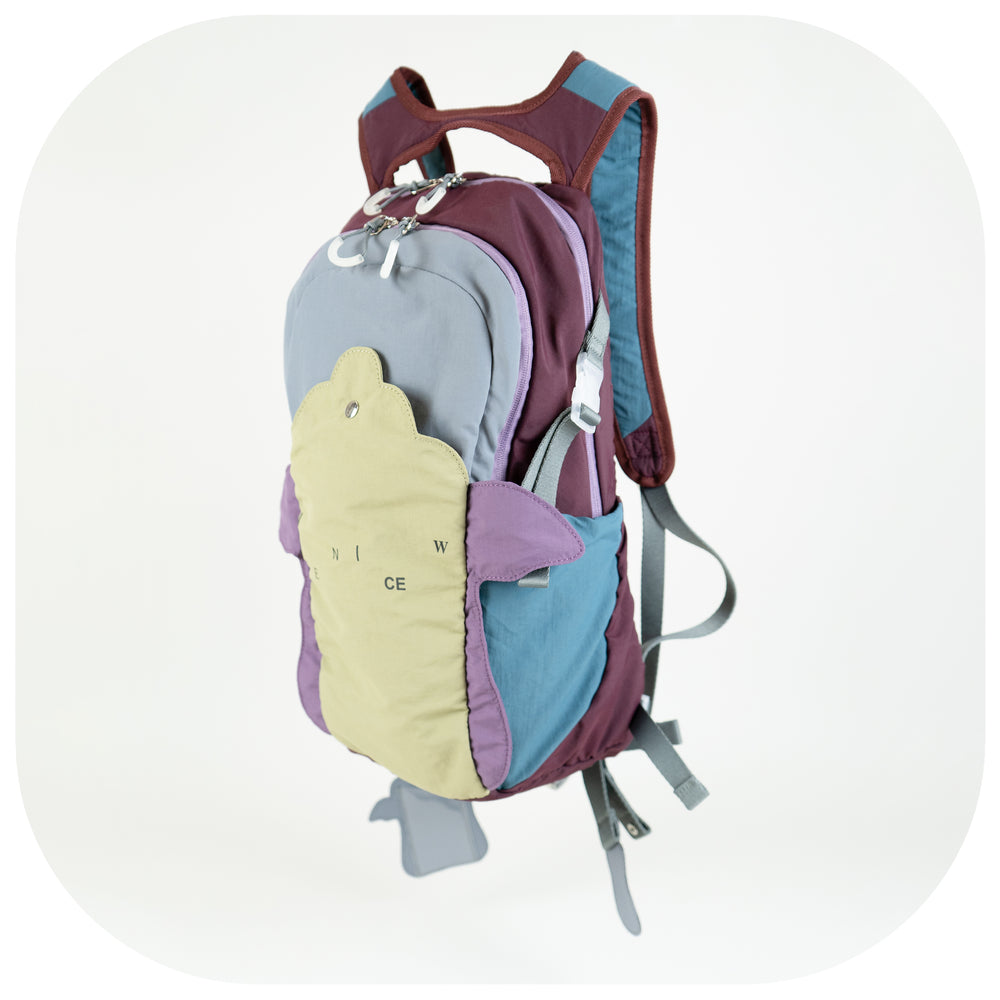 *Pre-order* Hangtag Backpack